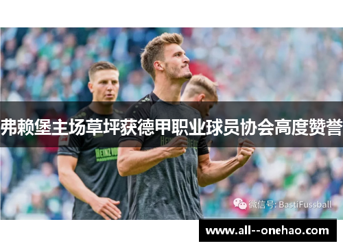 弗赖堡主场草坪获德甲职业球员协会高度赞誉