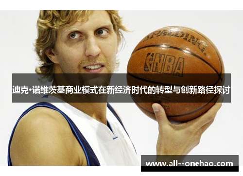 迪克·诺维茨基商业模式在新经济时代的转型与创新路径探讨