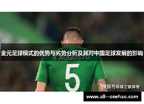 金元足球模式的优势与劣势分析及其对中国足球发展的影响