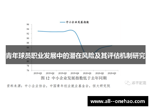 青年球员职业发展中的潜在风险及其评估机制研究