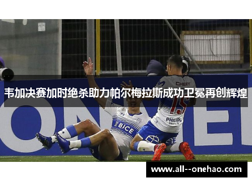 韦加决赛加时绝杀助力帕尔梅拉斯成功卫冕再创辉煌
